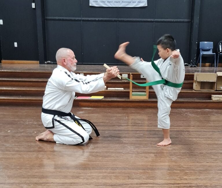 Galleries » Family Taekwondo