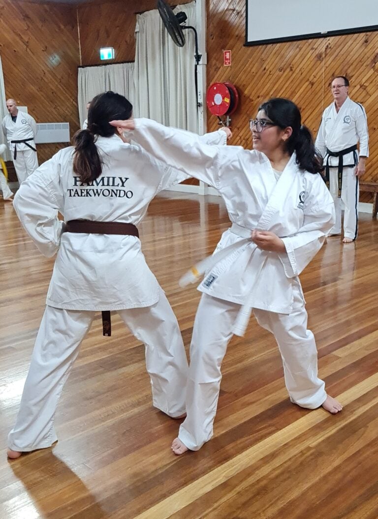 Galleries &raquo; Family Taekwondo